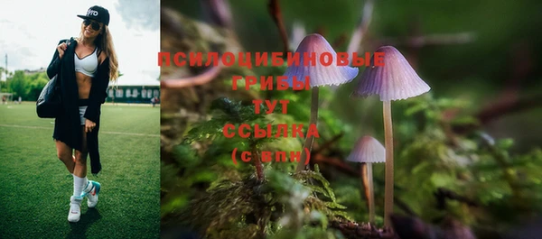 спиды Абдулино