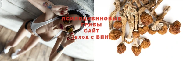 спиды Абдулино