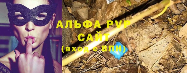 стафф Абаза