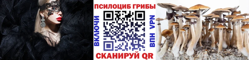 продажа наркотиков  Костерёво  Псилоцибиновые грибы прущие грибы 